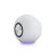 Creative Pebble SE 2.0 USB-C Powered PC Speakers with RGB Lighting White Creative Pebble SE 2.0 USB-C Powered PC Speakers with RGB Lighting White