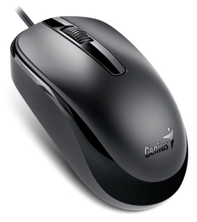 Genius DX-120 Mouse Black Type-C