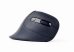 Gembird MUSW-ERGO-03 Mouse Black