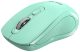 Genius NX-8025S Wireless Mouse Aquamarine Genius NX-8025S Wireless Mouse Aquamarine